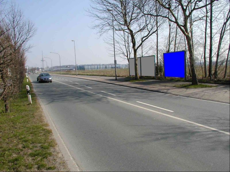 Loddenheide  29