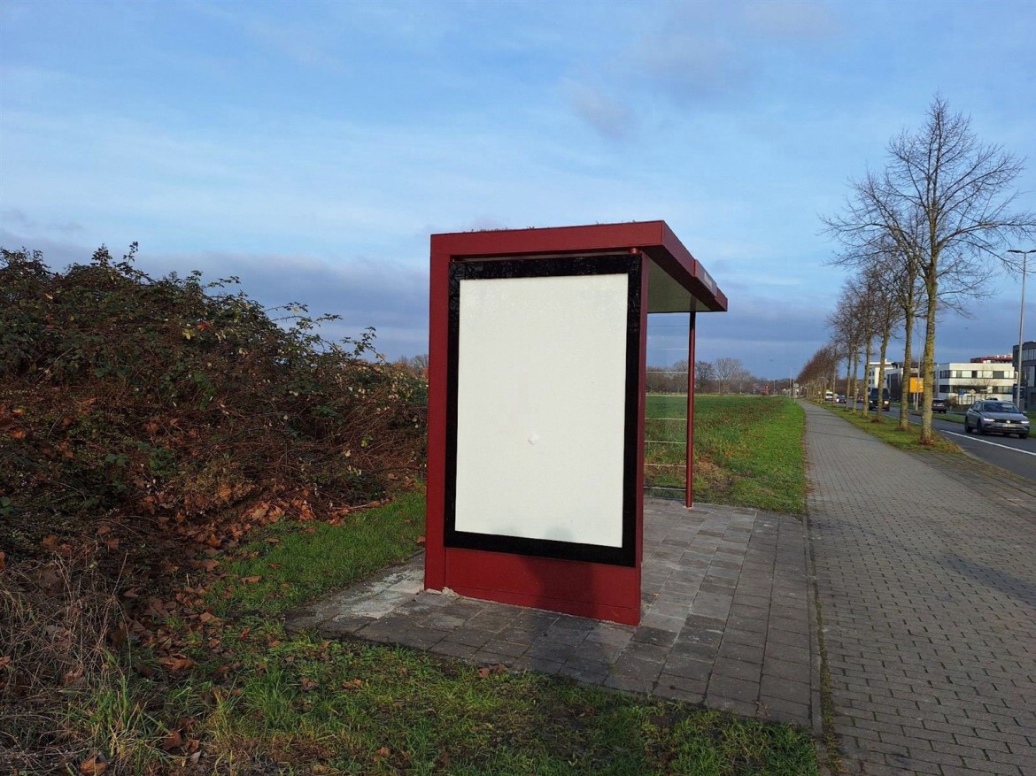 Austermannstr./Rudolf-Harbig-Weg  55/We.li.